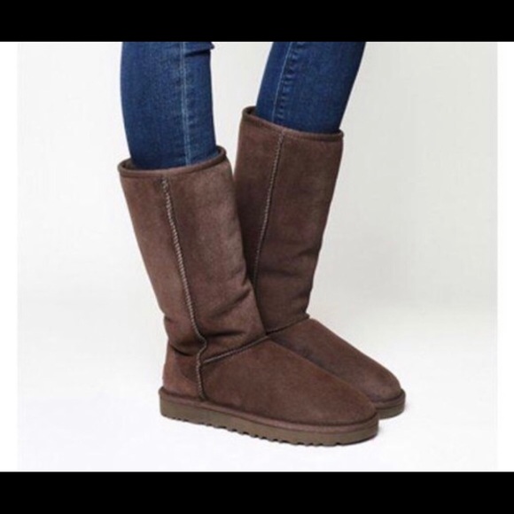 UGG Shoes - Tall brown uggs